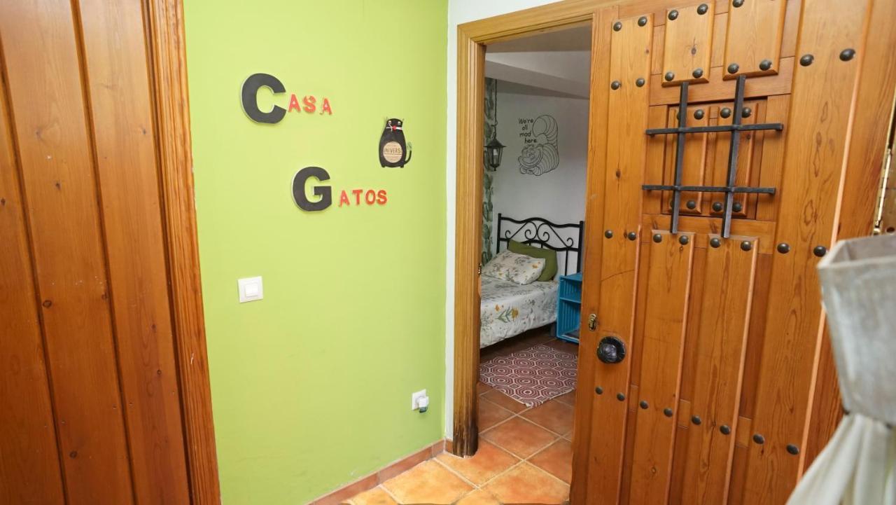 Ferienwohnung Casa Gatos Toledo Exterior foto