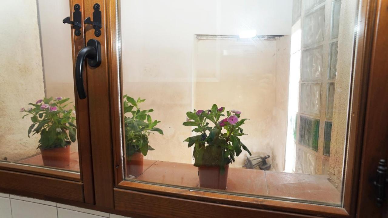 Ferienwohnung Casa Gatos Toledo Exterior foto